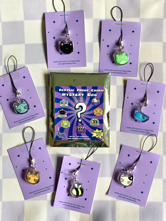 Acrylic Phone Charm Mystery Bag